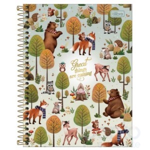 Caderno Espiral C/D Universitário 1 Matéria 80 Folhas Loveland - Tilibra